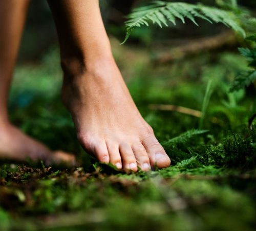 bare-feet-of-woman-standing-barefoot-outdoors-in-n-2024-10-18-09-27-32-utc.jpg